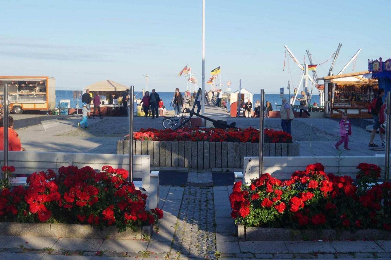 Ostseeblick โกรสเซนโบรเดอ ภายนอก รูปภาพ